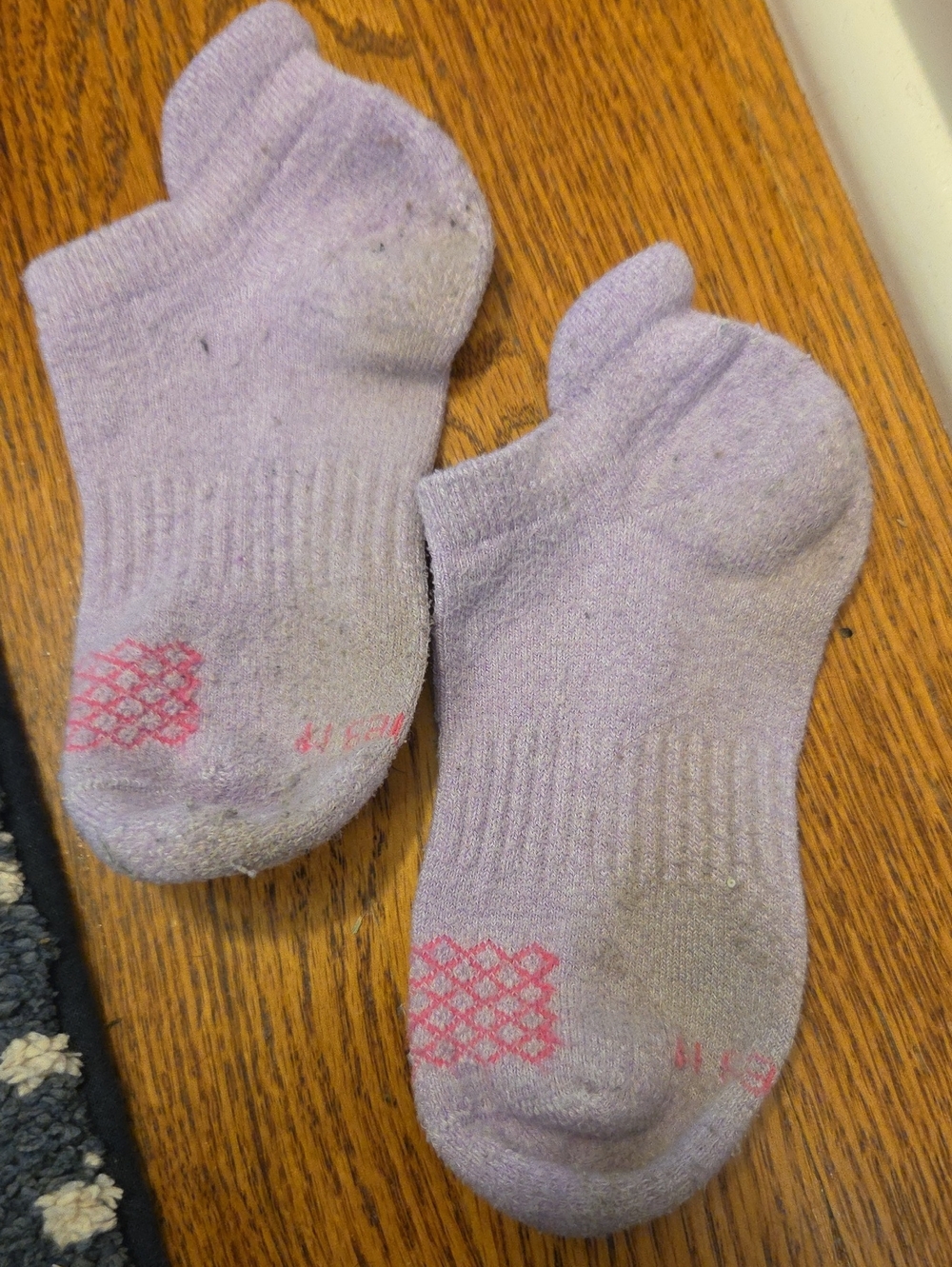 Hanes Lavender Low-Cut No-Show Socks
